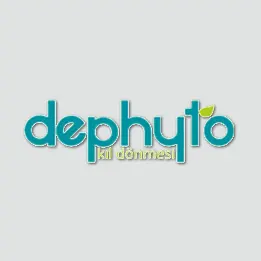 Dephyto | Web Tasarım